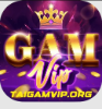 image for link to Gamvip