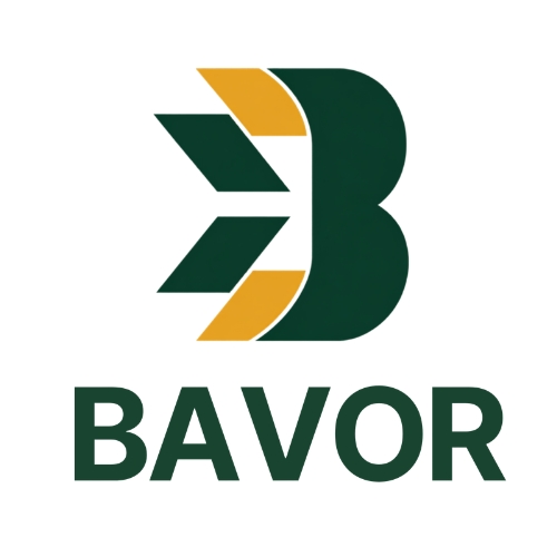 Profile photo for @bavorconsulting