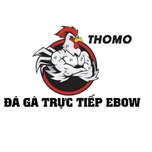 Profile photo for @eboworg