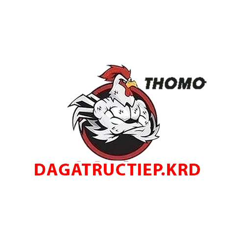 Profile photo for @dagatructiepkrd