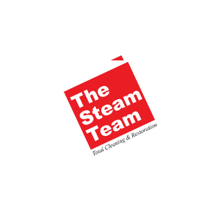 Profile photo for @thesteamteam
