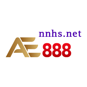 Profile photo for @nnhsnet