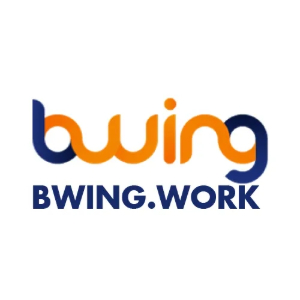 Profile photo for @bwingwork