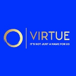 Profile photo for @virtuebizsetup