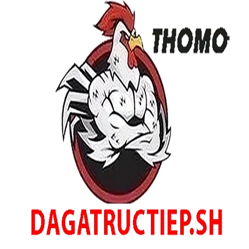 Profile photo for @dagatructiepsh