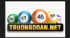 image for link to Truongdoan net
