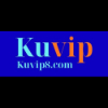 image for link to vimeo