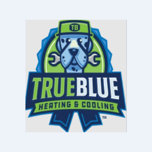 Profile photo for @trueblueheatingtn