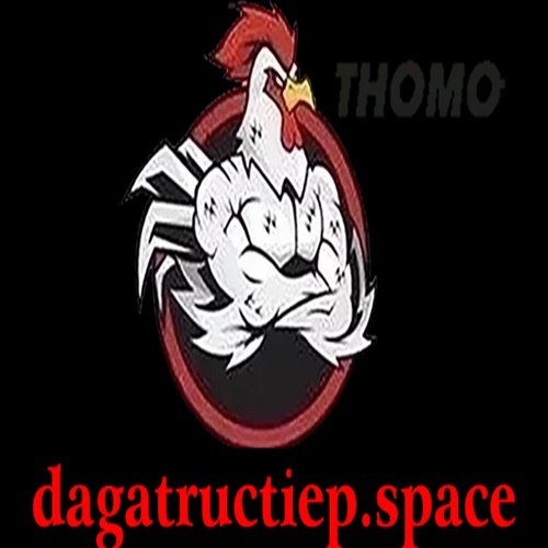 Profile photo for @dagatructiepspace