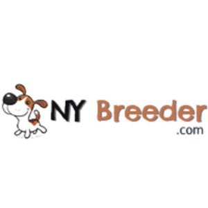 Profile photo for @nybreeder0