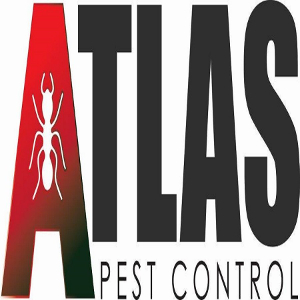 Profile photo for @termitecontrolnormanok