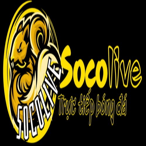 Profile photo for @socolivetructiep