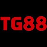Profile photo for @stg88com