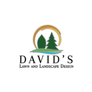 Profile photo for @davidslawndesign