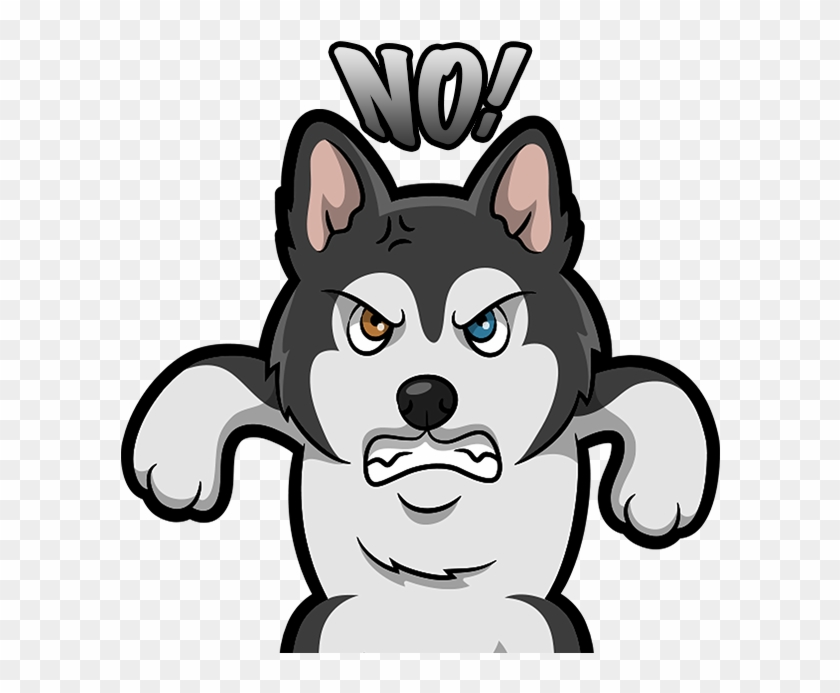 Profile photo for @snowy8t6