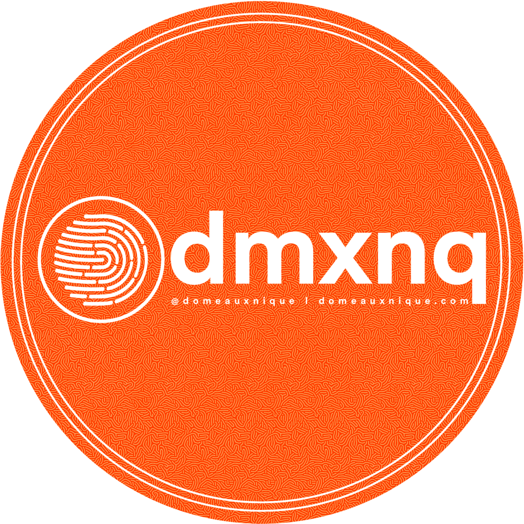 image for link to http://domeauxnique.com