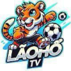 image for link to  Lão Hổ TV