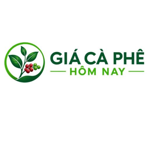 Profile photo for @giacaphethegioi