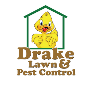 Profile photo for @drakepestdaytona