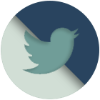 image for link to Twitter