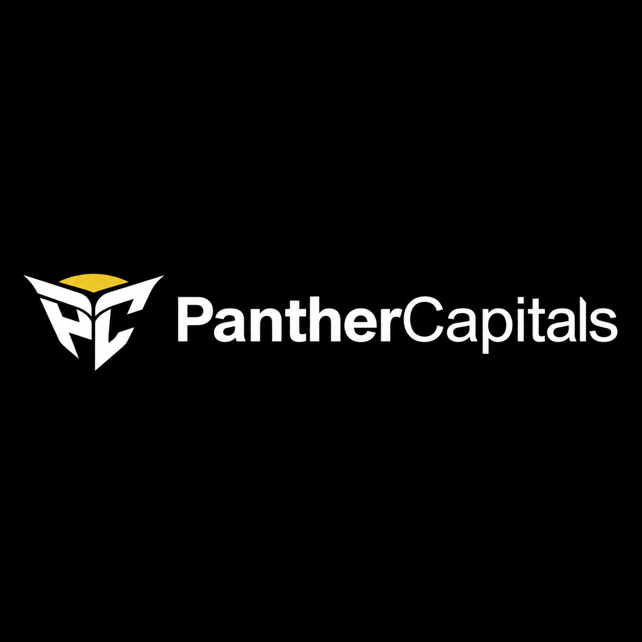 Profile photo for @panthercapitals
