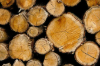 image for link to Wood logs Devon