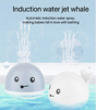 image for link to Bath whale
