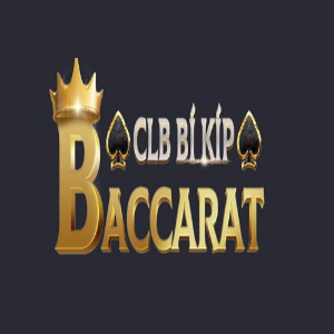 Profile photo for @baccaratmotorcycles