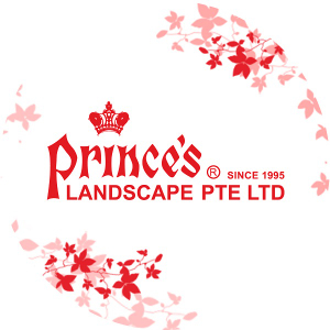 Profile photo for @princelandscape