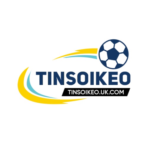 Profile photo for @tinsoikeoukcom