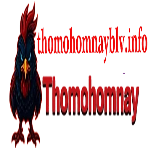 Profile photo for @thomohomnayblvinfo