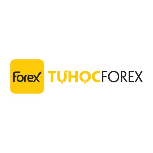 Profile photo for @tuhocforexytb