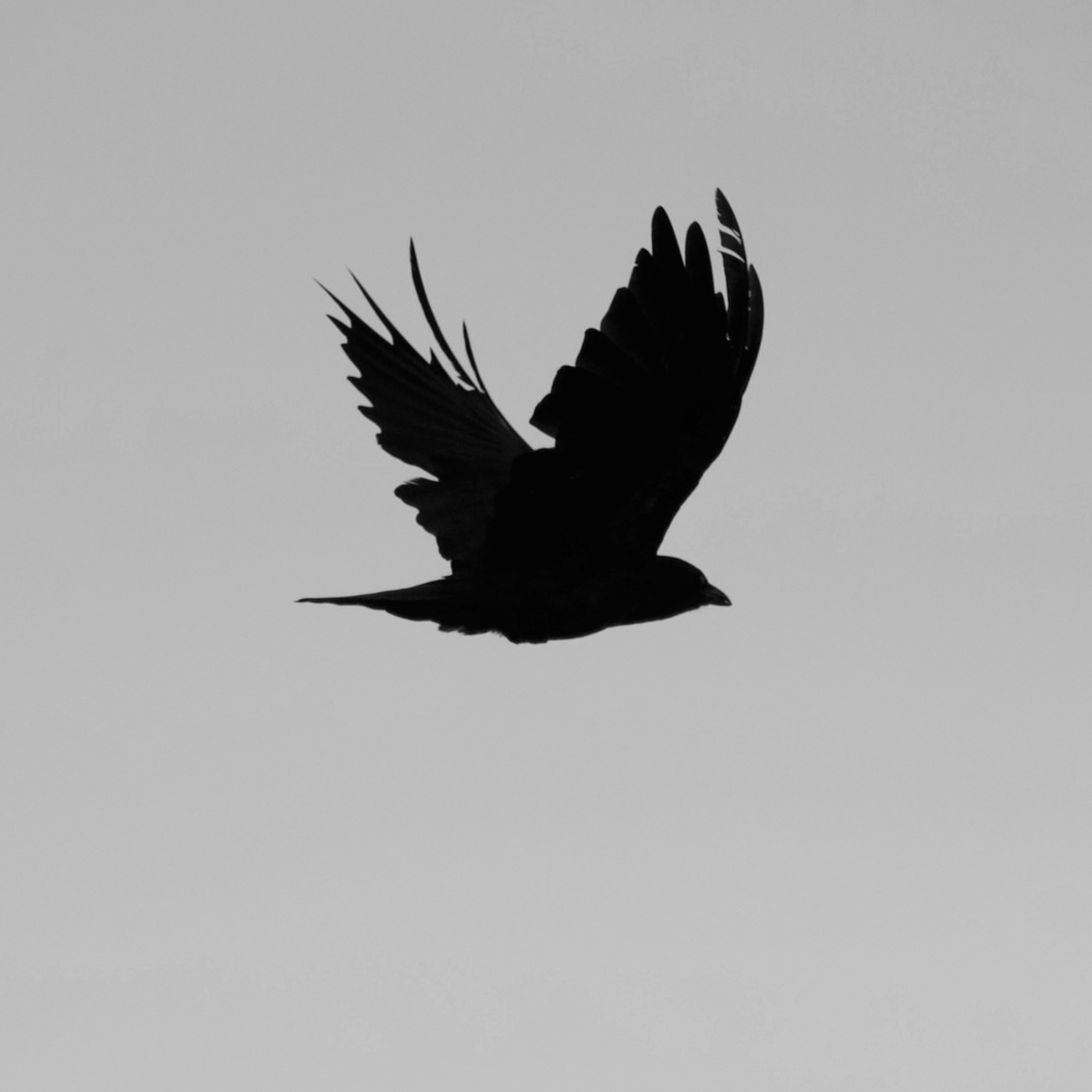 Profile photo for @kylefcumiskey