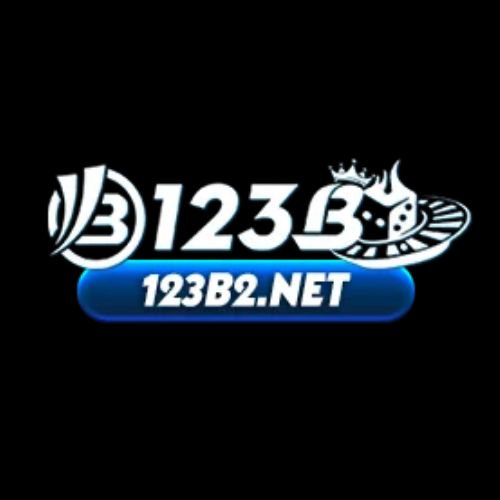 Profile photo for @123b2net