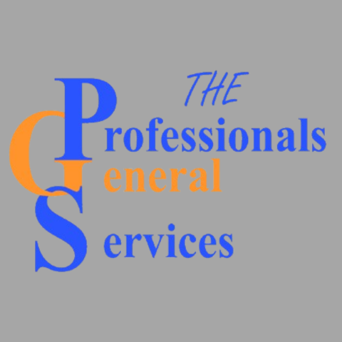 Profile photo for @professional