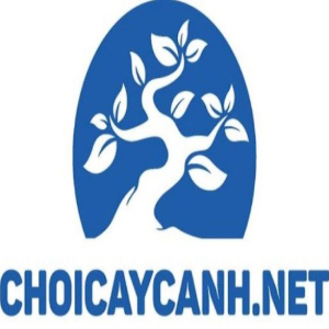 Profile photo for @choicaycanhnet1