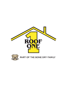 Profile photo for @roofone65