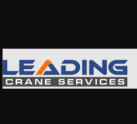 Profile photo for @leadingcranes