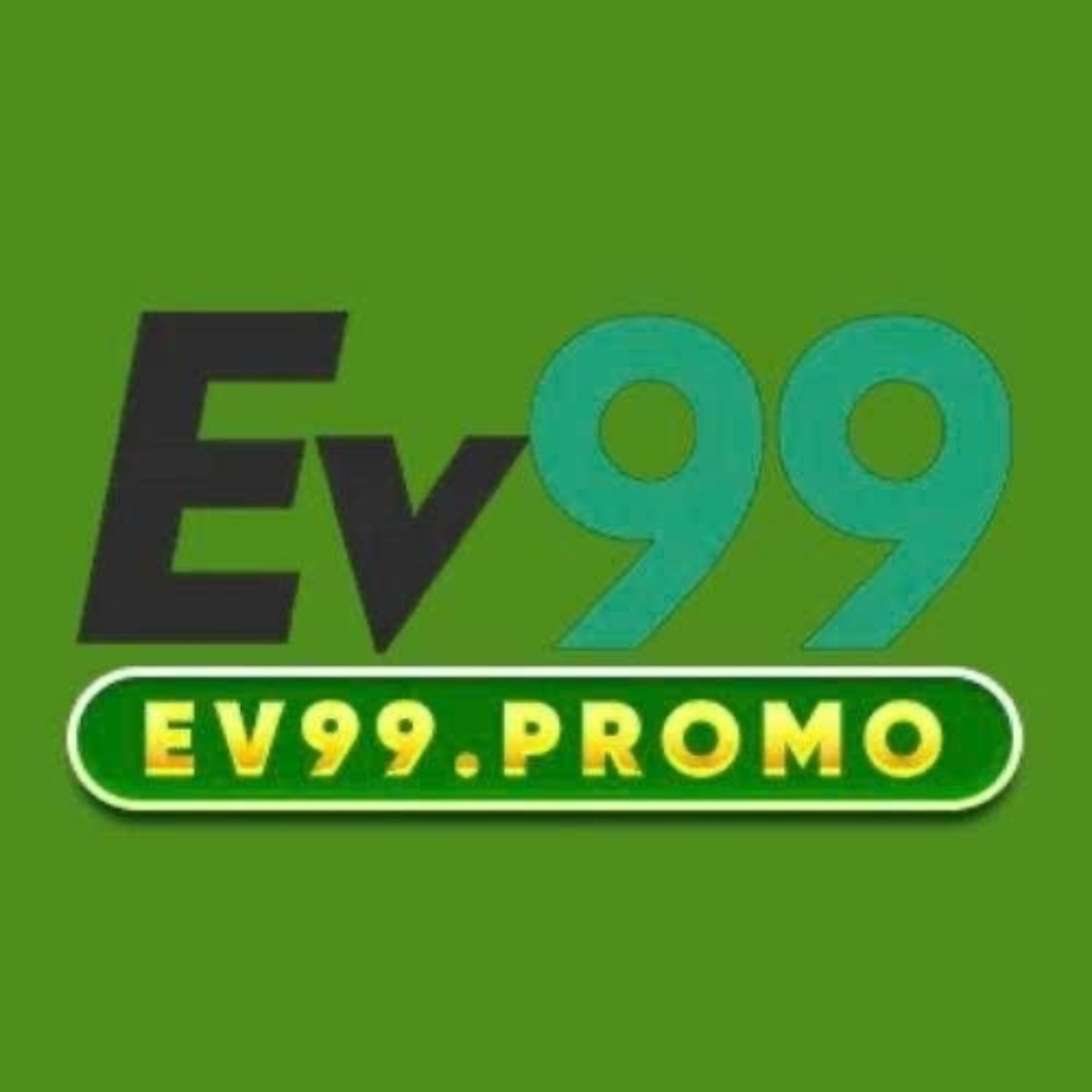Profile photo for @ev99promo