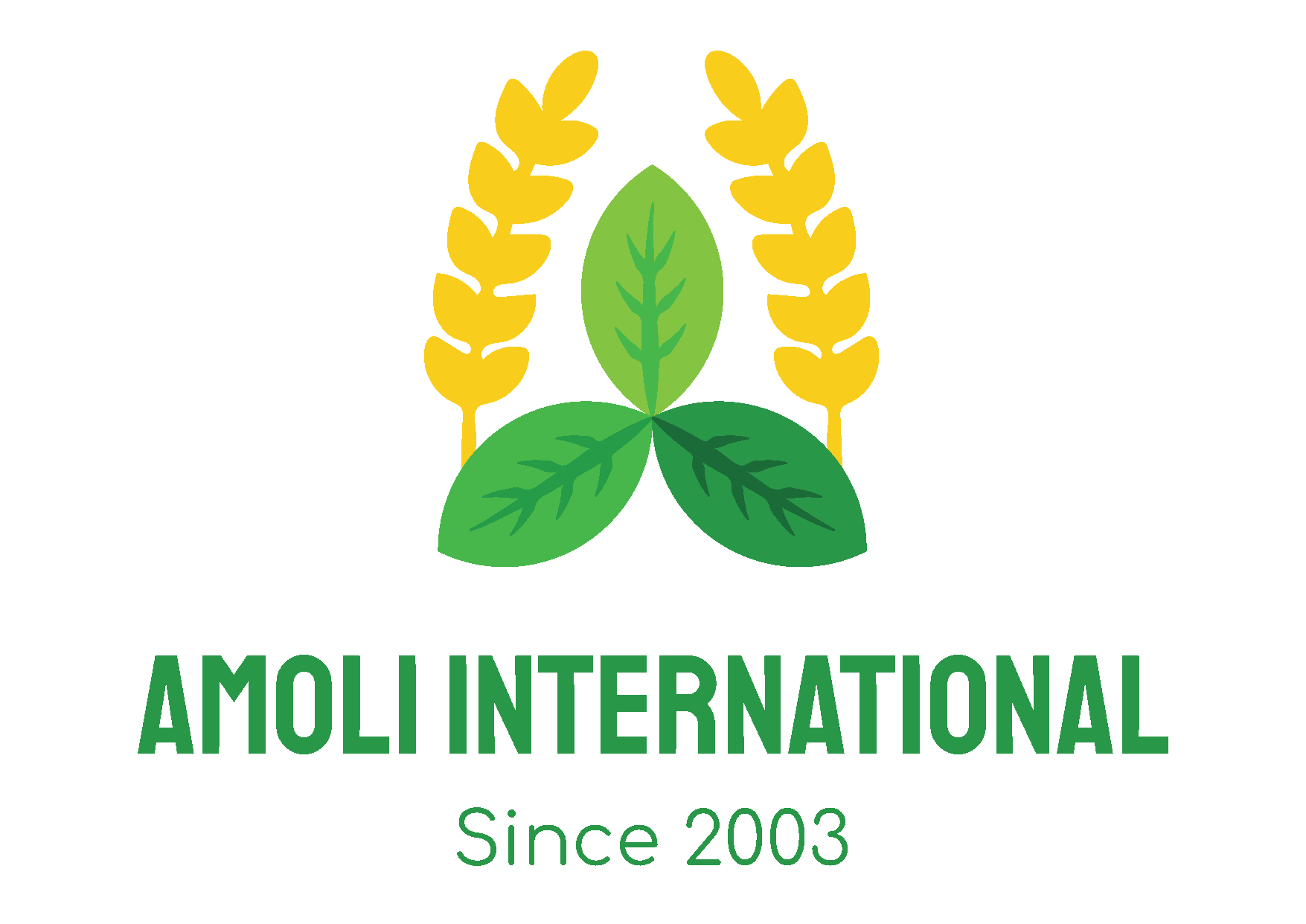 Profile photo for @amoliinternational