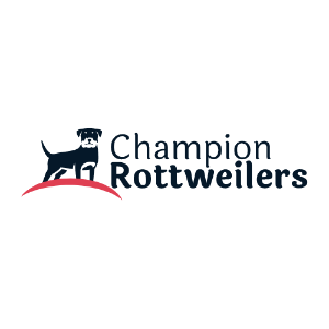 Profile photo for @championrotweilrs
