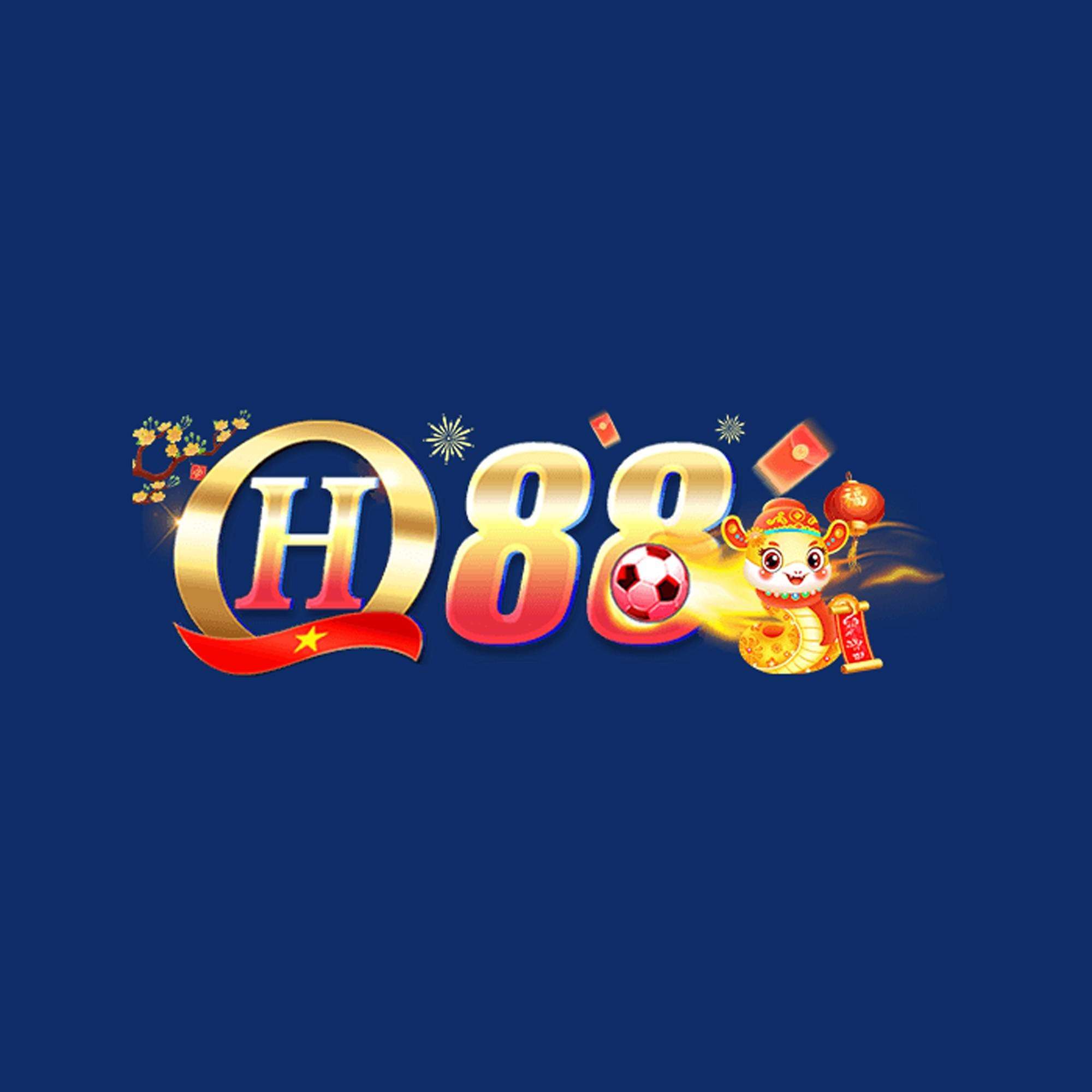 Profile photo for @qh88vuscom