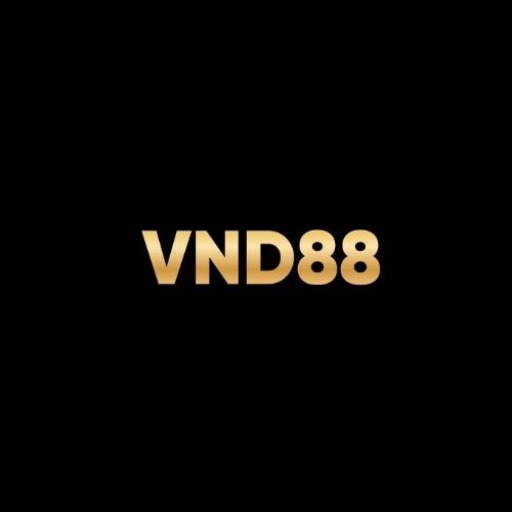Profile photo for @vnd88finance