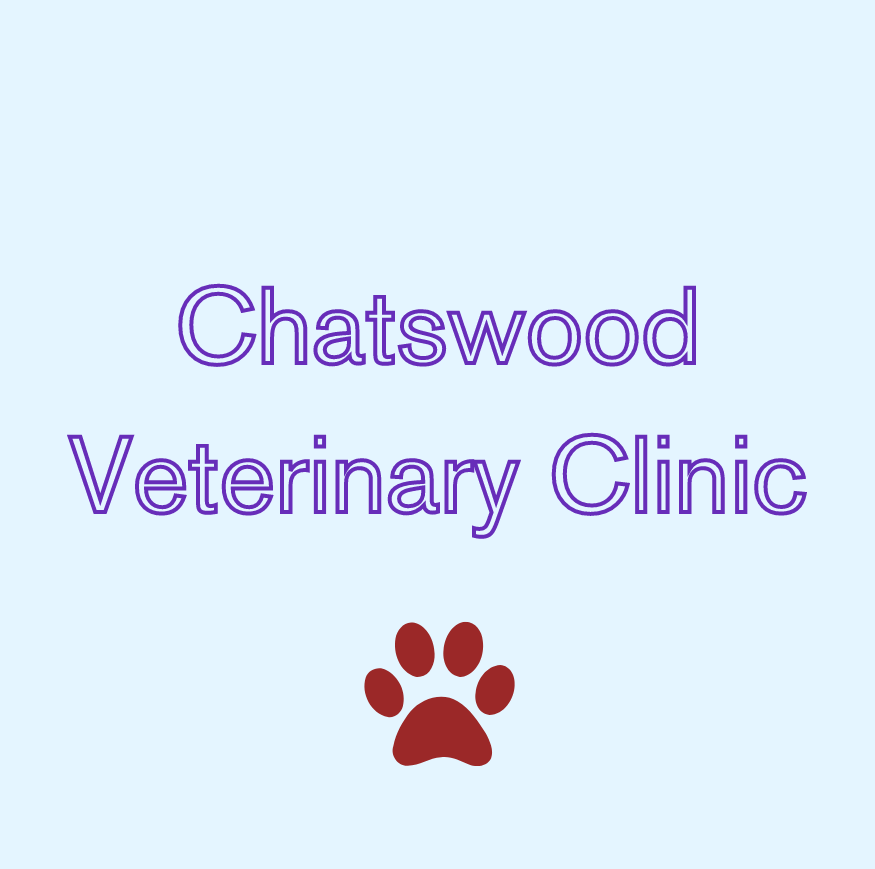 Profile photo for @chatswoodvet
