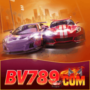 Profile photo for @bv789co