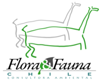 Profile photo for @florayfaunachile.cl