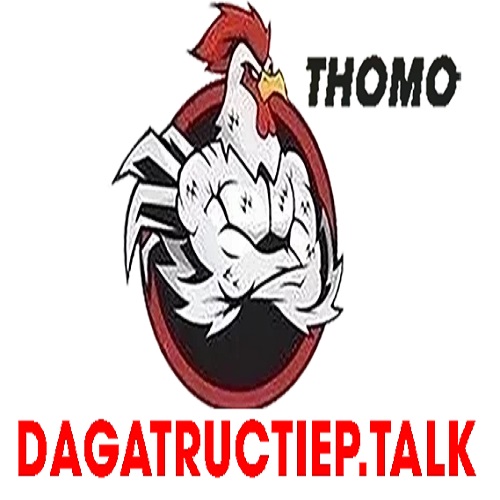 Profile photo for @dagatructieptalk