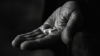 image for link to Drug Trafficking Laws in UAE: Rules and Regulations