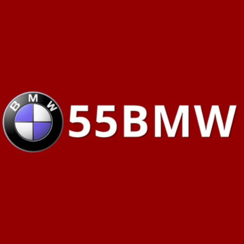 Profile photo for @55bmworgphtop