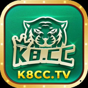 Profile photo for @k8cctv
